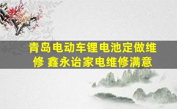 青岛电动车锂电池定做维修 鑫永诒家电维修满意